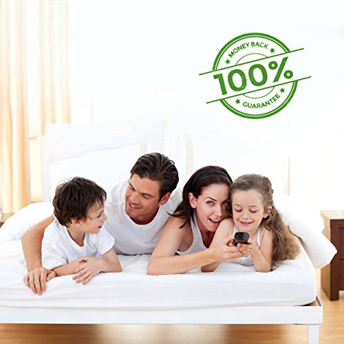 Eco Defense Bed Bug Killer, Natural Organic Formula Fastest 1 Gal...