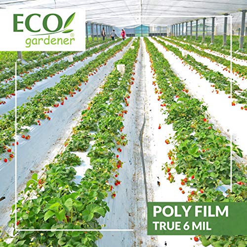 Black and White Poly Film – 10’ x 25’ 6mil, 4 Year UV Treated, Hea...