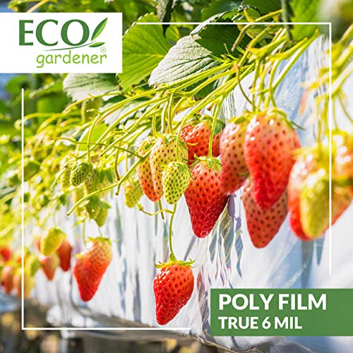 Black and White Poly Film – 10’ x 25’ 6mil, 4 Year UV Treated, Hea...