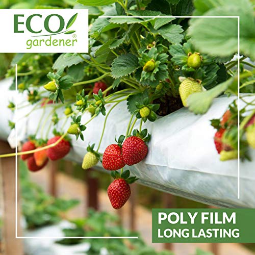 Black and White Poly Film – 10’ x 25’ 6mil, 4 Year UV Treated, Hea...