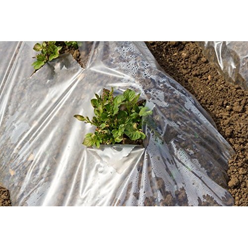 ECOgardener Greenhouse Clear Plastic Film – 25’ x 20’ 6mil, 4 Year...