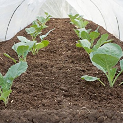 Greenhouse Clear Plastic Film – 25’ x 10’ 6mil, 4 Year UV Treated,...