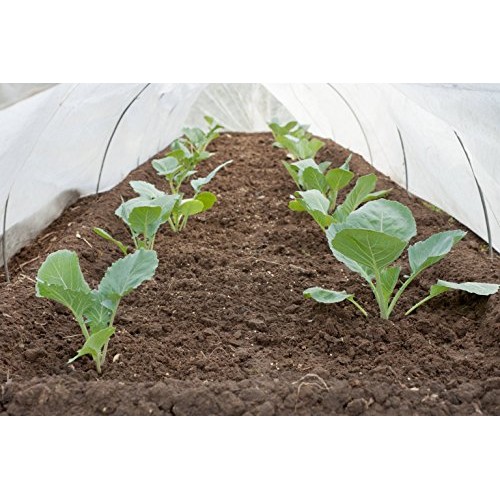 Greenhouse Clear Plastic Film – 25’ x 10’ 6mil, 4 Year UV Treated,...