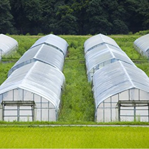 Greenhouse Clear Plastic Film – 25’ x 10’ 6mil, 4 Year UV Treated,...