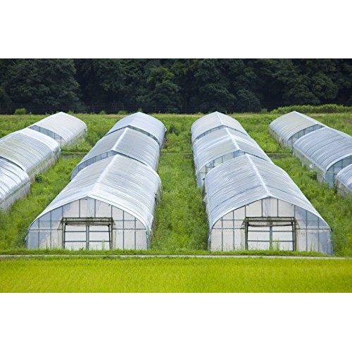 Greenhouse Clear Plastic Film – 25’ x 10’ 6mil, 4 Year UV Treated,...