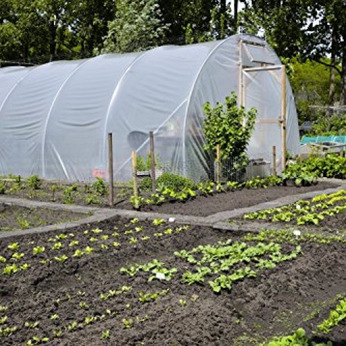 Greenhouse Clear Plastic Film – 25’ x 10’ 6mil, 4 Year UV Treated,...