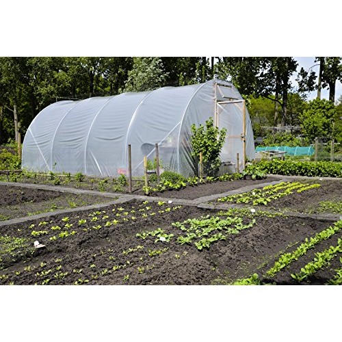Greenhouse Clear Plastic Film – 25’ x 10’ 6mil, 4 Year UV Treated,...