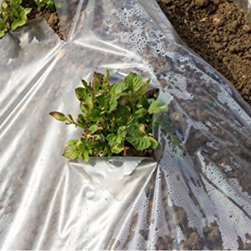 Greenhouse Clear Plastic Film – 25’ x 10’ 6mil, 4 Year UV Treated,...