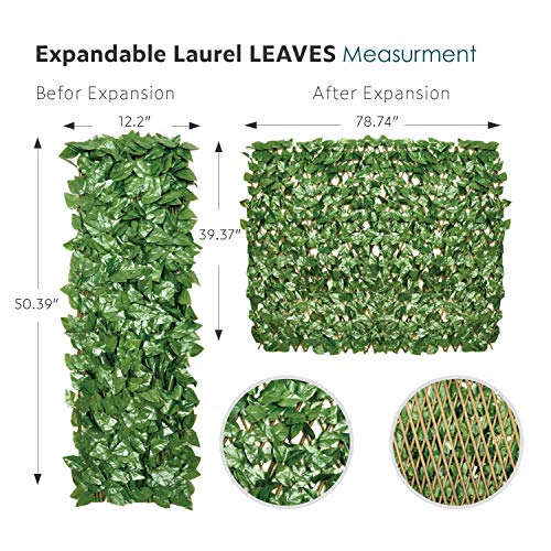 ECOOPTS Artificial Laurel Ivy Leaf Expandable/Stretchable Privacy ...