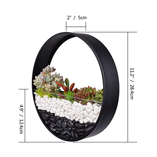 Ecosides 12 H Black Large Wall Hanging Metal Plant Terrarium, Pla...