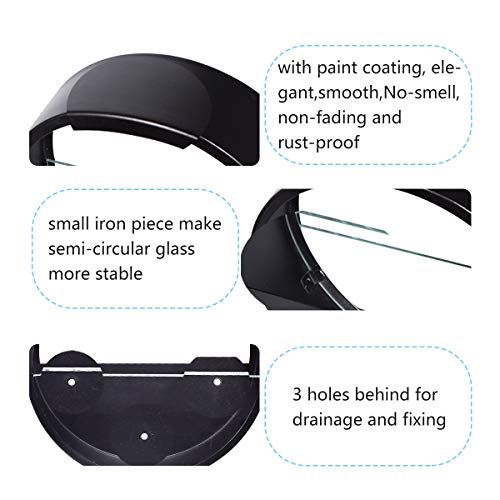 Ecosides 12 H Black Large Wall Hanging Metal Plant Terrarium, Pla...