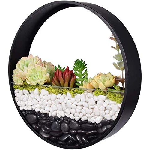 Ecosides 12 H Black Large Wall Hanging Metal Plant Terrarium, Pla...
