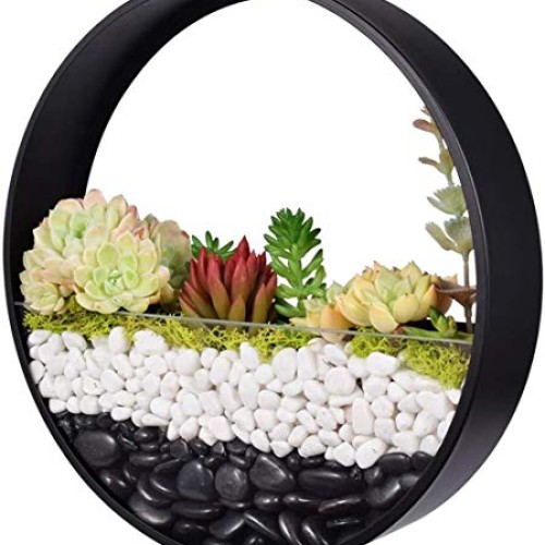 Ecosides 12 H Black Large Wall Hanging Metal Plant Terrarium, Pla...