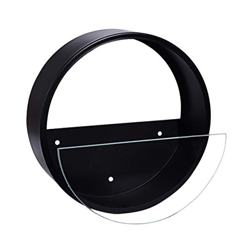 Ecosides 12 H Black Large Wall Hanging Metal Plant Terrarium, Pla...