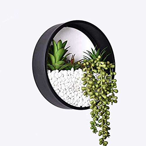 Ecosides 12 H Black Large Wall Hanging Metal Plant Terrarium, Pla...