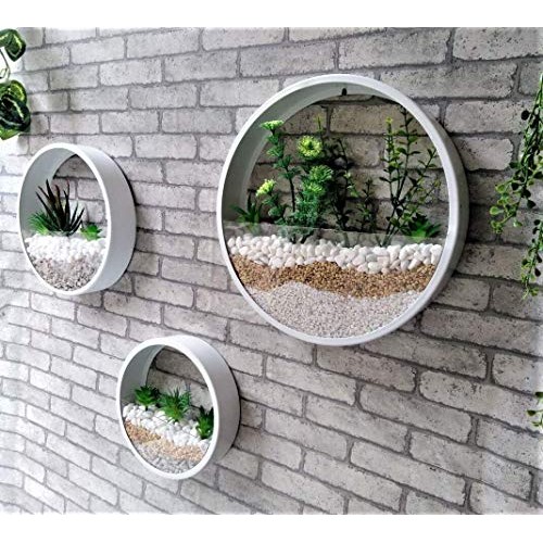 Ecosides 12 H White Large Wall Hanging Metal Plant Terrarium, Pla...