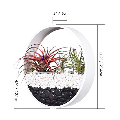 Ecosides 12 H White Large Wall Hanging Metal Plant Terrarium, Pla...