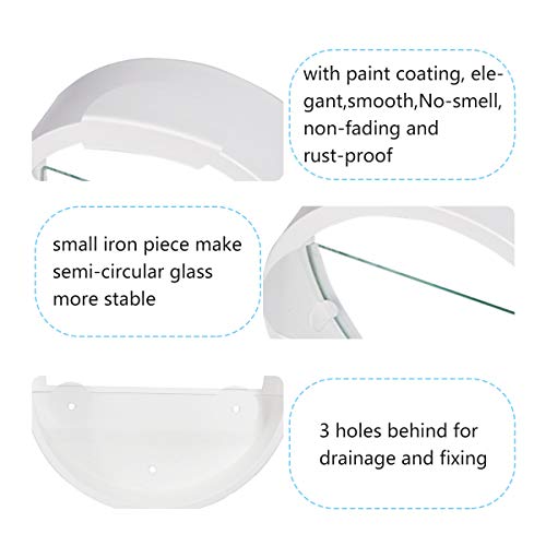 Ecosides 12 H White Large Wall Hanging Metal Plant Terrarium, Pla...