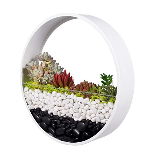 Ecosides 12 H White Large Wall Hanging Metal Plant Terrarium, Pla...