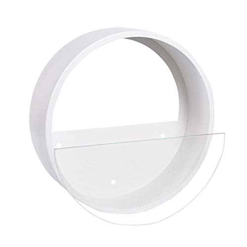 Ecosides 12 H White Large Wall Hanging Metal Plant Terrarium, Pla...