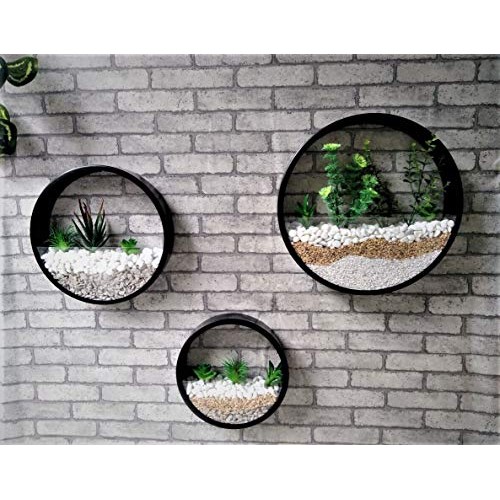 Ecosides Set of 3 Round Hanging Wall Vase Succulent Planter Vase- ...