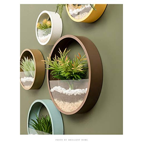 Ecosides Set of 3 Round Hanging Wall Vase Succulent Planter Vase- ...