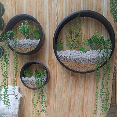Ecosides Set of 3 Round Hanging Wall Vase Succulent Planter Vase- ...