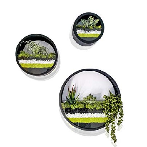 Ecosides Set of 3 Round Hanging Wall Vase Succulent Planter Vase- ...