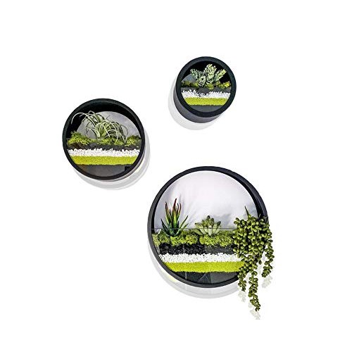 Ecosides Set of 3 Round Hanging Wall Vase Succulent Planter Vase- ...
