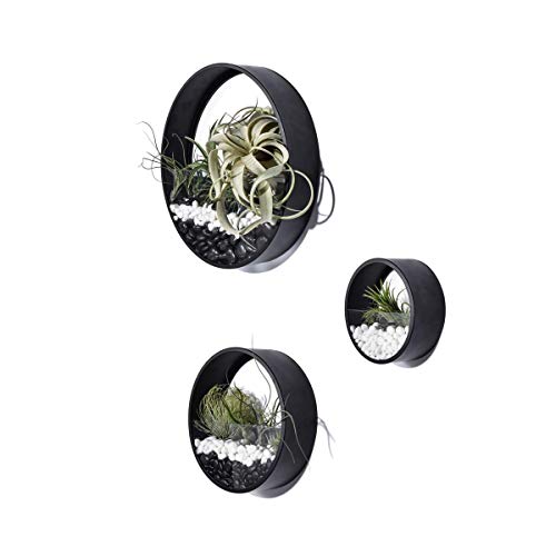 Ecosides Set of 3 Round Hanging Wall Vase Succulent Planter Vase- ...