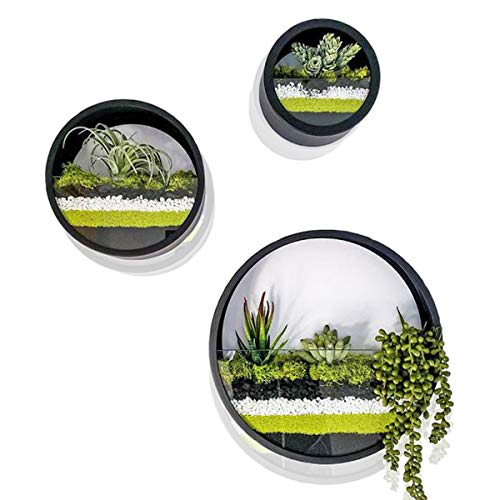 Ecosides Set of 3 Round Hanging Wall Vase Succulent Planter Vase- ...