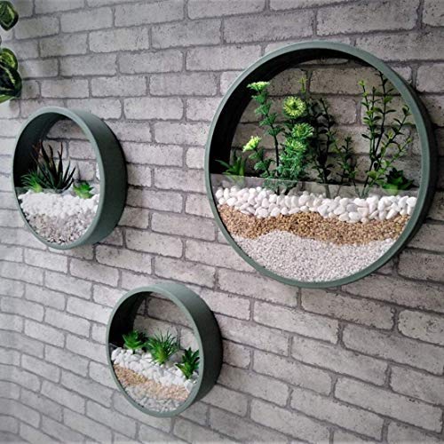 Ecosides Wall Mounted Planter Wall Hanging Planters Metal Plant Te...