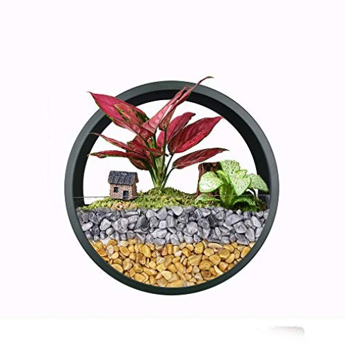 Ecosides Wall Mounted Planter Wall Hanging Planters Metal Plant Te...