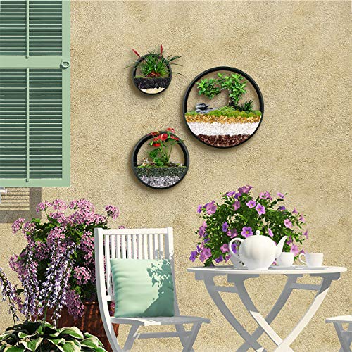 Ecosides Wall Mounted Planter Wall Hanging Planters Metal Plant Te...