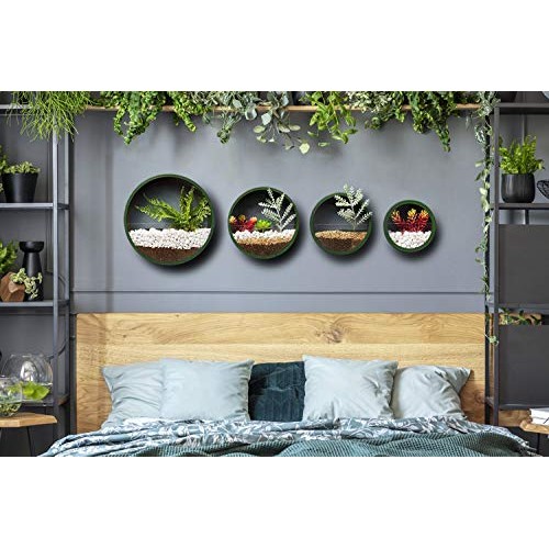 Ecosides Wall Mounted Planter Wall Hanging Planters Metal Plant Te...
