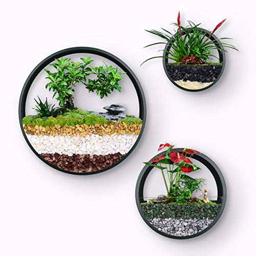 Ecosides Wall Mounted Planter Wall Hanging Planters Metal Plant Te...