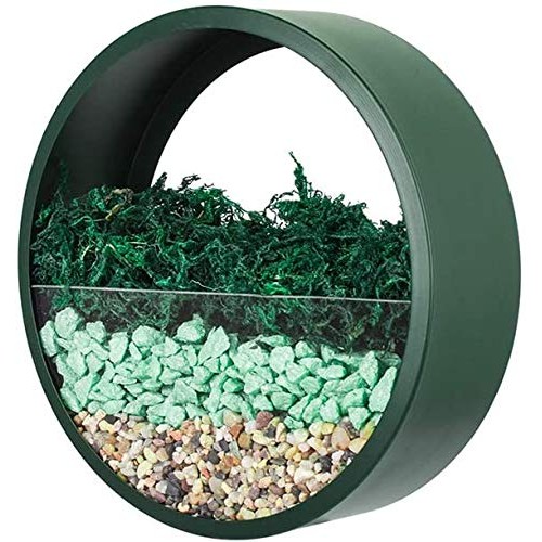 Ecosides Wall Mounted Planter Wall Hanging Planters Metal Plant Te...