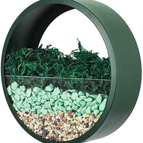 Ecosides Wall Mounted Planter Wall Hanging Planters Metal Plant Te...