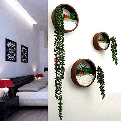 Mixed 3 Sizes Brown Wall Round Hanging Planter Succulent Terrarium...