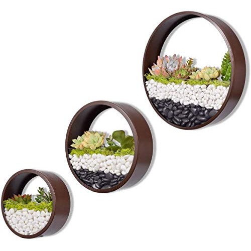 Mixed 3 Sizes Brown Wall Round Hanging Planter Succulent Terrarium...