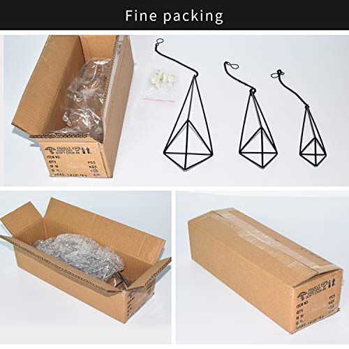 Pack 3 Black Metal Hanging Air Plant Holder, Gemometric Plant Plan...