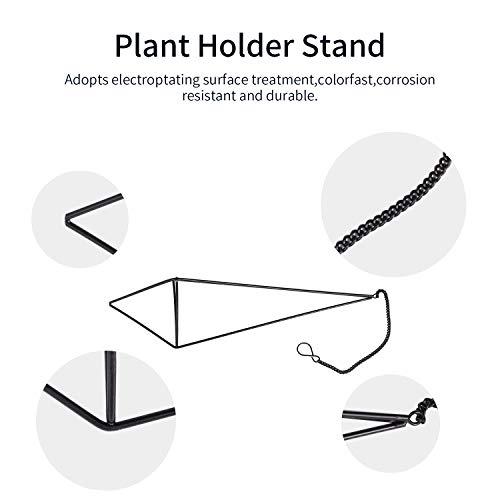Pack 3 Black Metal Hanging Air Plant Holder, Gemometric Plant Plan...