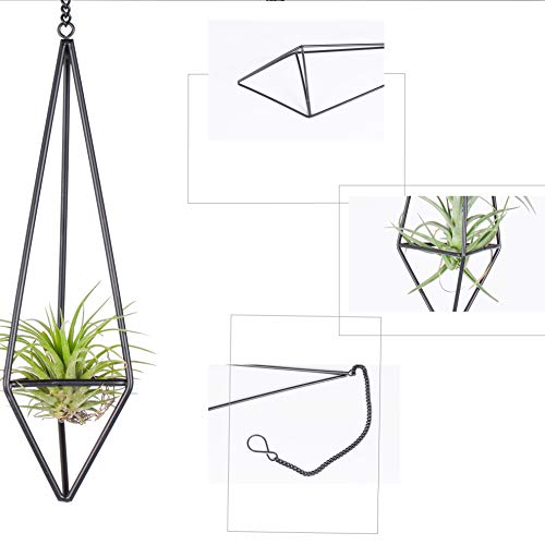 Pack 3 Black Metal Hanging Air Plant Holder, Gemometric Plant Plan...