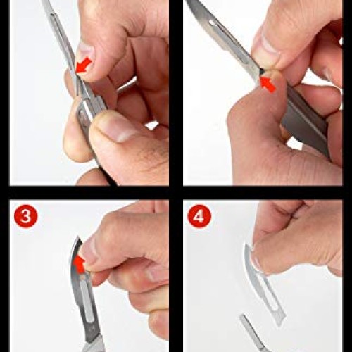 edcfans Titanium Folding Pocket Knife, Skinning Knives for Outdoor...