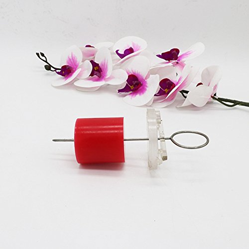 DIY Handmade Candle Cylinder-Shape Wax Mold Scented Candle Making ...