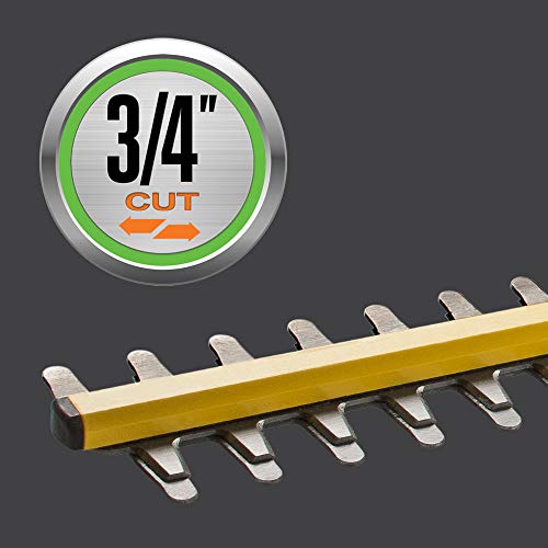 EGO Power+ HT2400 24-Inch 56-Volt Lithium-ion Cordless Hedge Trimm...