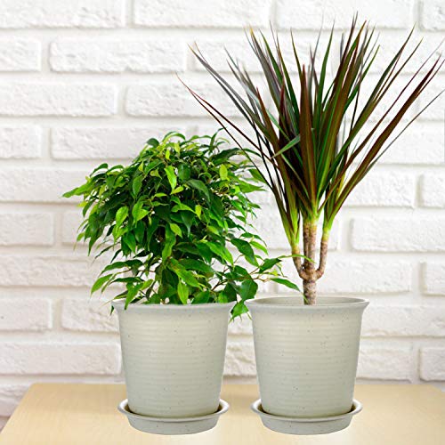 EHWINE 7.2 Inch Plastic Flower Pots, 8 Pack Indoor Plant Pots with...