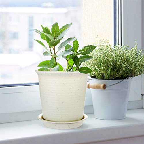 EHWINE 7.2 Inch Plastic Flower Pots, 8 Pack Indoor Plant Pots with...
