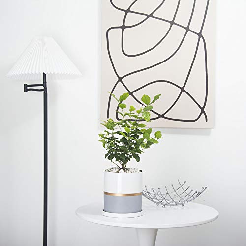 Ekirlin 6 inch Plant Pot - Ceramic Flower Planters Indoor - Modern...