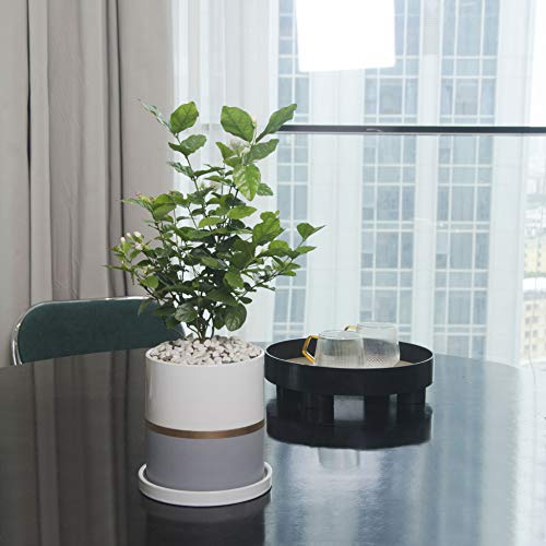 Ekirlin 6 inch Plant Pot - Ceramic Flower Planters Indoor - Modern...
